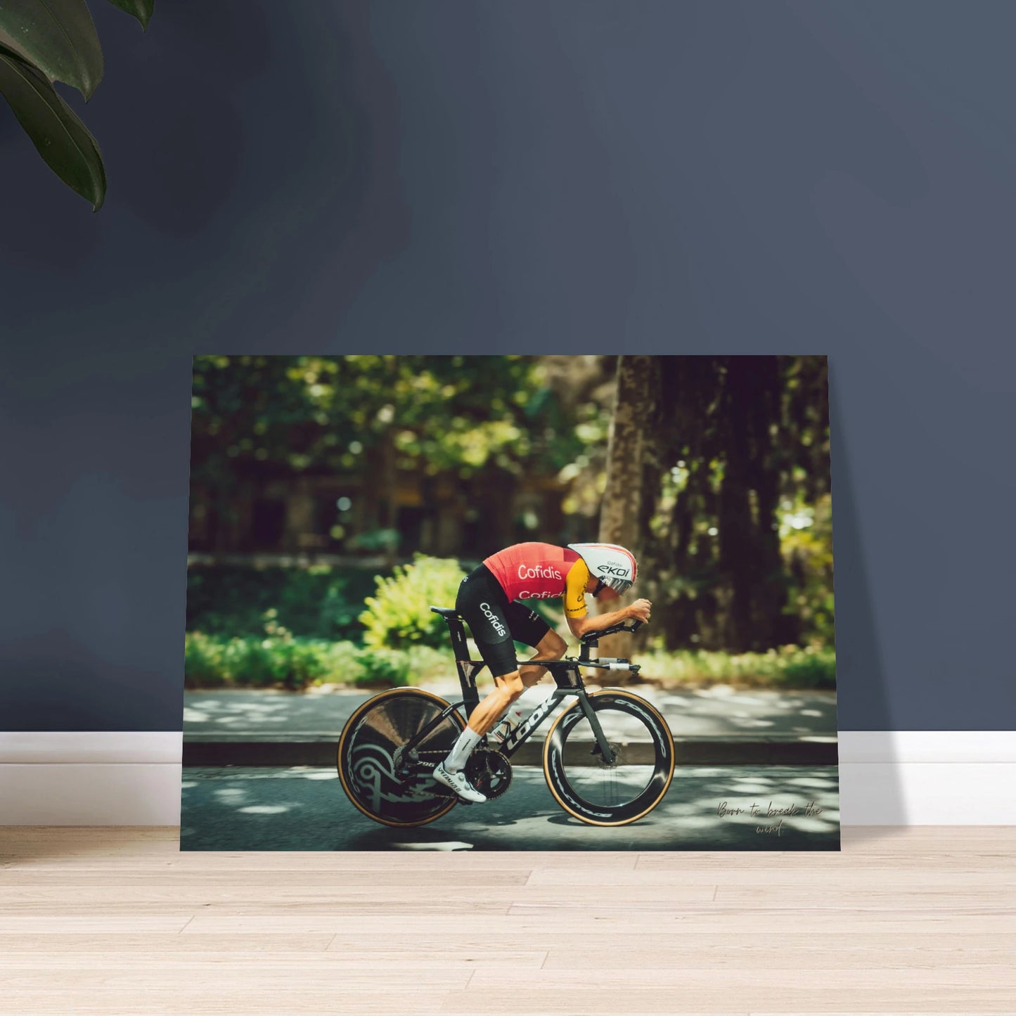 9d375e19-979a-4f5f-a952-538ace00f502