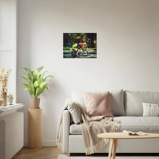 Living room with a sofa, coffee table, and decorative items, featuring a framed picture of a cyclist on the wall.